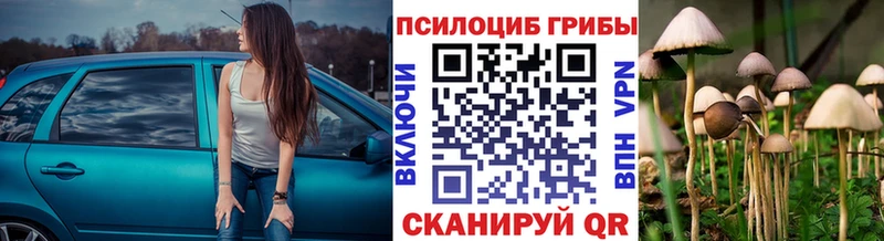 Галлюциногенные грибы Psilocybine cubensis  где купить наркотик  Стародуб 